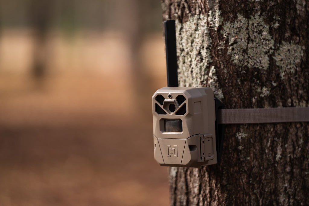 Edge 2 Cellular Trail Camera - Auto Connect Nationwide 4G LTE - on Demand 36MP Photo - 1080P Video with HD Audio - 100 Ft Detection Range - Low Glow Flash